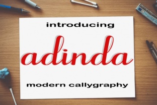 Adinda: A Practical Tool for Modern Professionals and Creators
