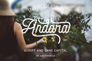 Andara Script: The Complete Guide to Using This Elegant Calligraphy Font