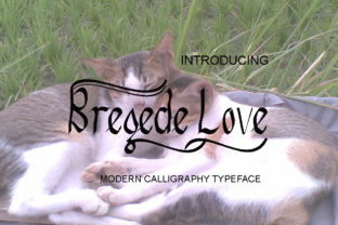 Bregede Love: A Practical Framework for Building Meaningful Connections