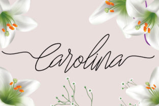Carolina and the Future of Graphic Design