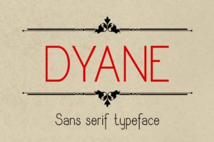 Dyane: A Practical Tool for Modern Workflows