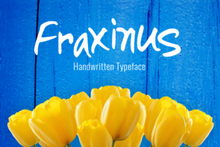 Fraxinus in Practice: How a Design System Framework Is Reshaping Digital Workflows