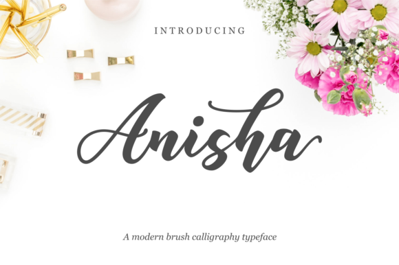 How Anisha Helps You Get More Done Without Burning Out