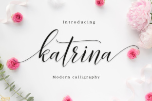 Katrina: A Practical Guide to Understanding Its Purpose, Features, and Real-World Value