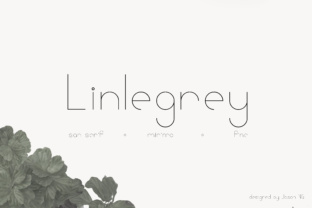 Linlegrey and the New Language of Creative Strategy: Why Professionals Are Rethinking How They Build and Communicate