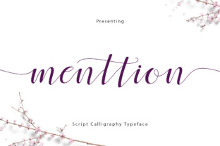 Menttion Script: Elevate Your Visual Identity