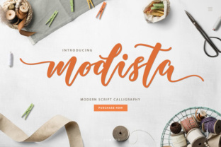 Modista: Practical Fashion Design Solutions
