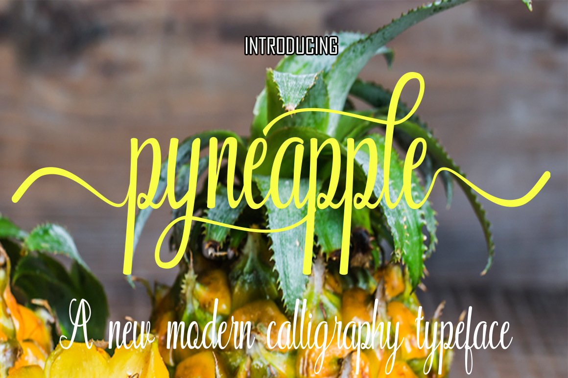 Pyneapple: A Practical Tool for Modern Creators and Professionals