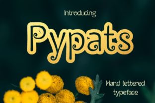 Pypats: A Practical Tool for Smarter Work and Creative Flow