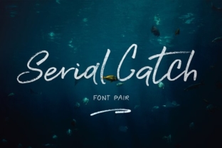 Serial Catch: What Most Users Get Wrong and How to Fix It