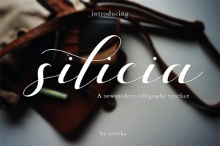 Silicia: A Typeface Built for Clarity and Character