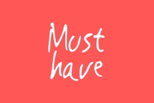 Understanding the Must Have Mindset: Prioritizing What Matters for Strategic Success