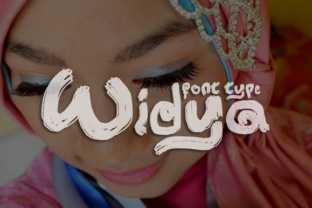 Understanding Widya: A Comprehensive Guide for Informed Decision-Making