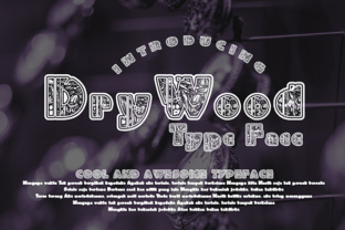 Why DryWood Matters in a World of Overconsumption